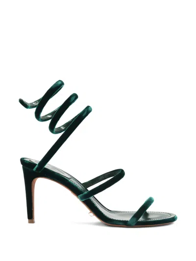 René Caovilla Cleo Wrap-around Sandal In Green