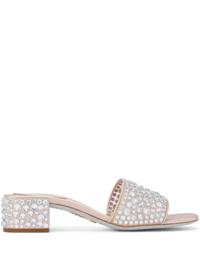 René Caovilla Crystal-embellished Leather Mules In Neutrals