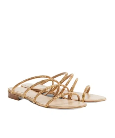 René Caovilla Crystal Flat Sandals In Gold