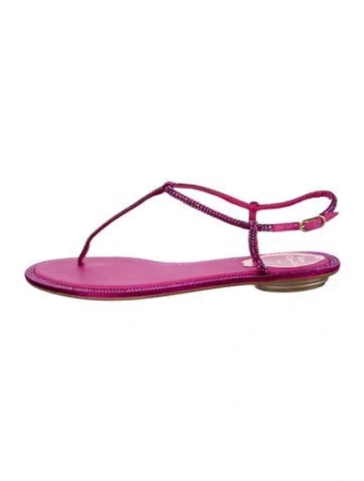 Pre-owned René Caovilla Crystal T-strap Sandals In Pink
