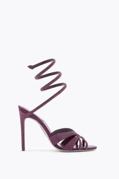 René Caovilla Dania Amethist Sandal 105