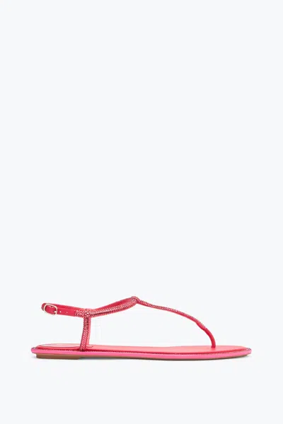 René Caovilla Diana Coral Sandal With Crystals 10 In Pink