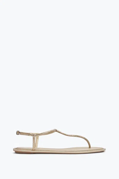 René Caovilla Diana Crystal Beige Sandal 10