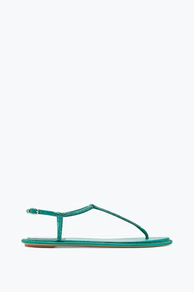 René Caovilla Diana Crystal Green Sandal 10