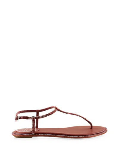René Caovilla Diana Crystal-embellished Flat Sandals In Brown