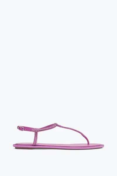 René Caovilla Diana Cyclamen Sandal With Crystals 10