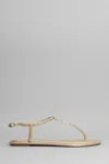René Caovilla Renè Caovilla Diana Embellished Thong Sandals In Marrone