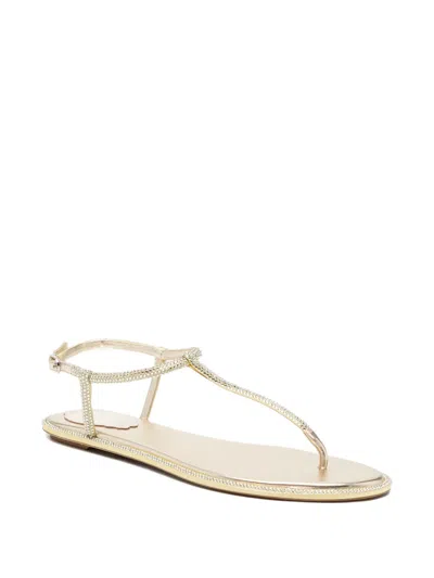 René Caovilla Diana Flat Sandals In Neutral