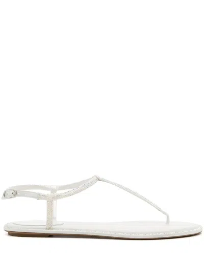 René Caovilla Rene Caovilla Crystal Embellished Thong Sandals In Silver