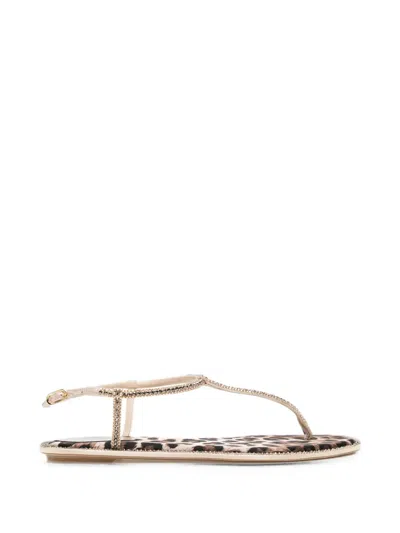 René Caovilla Diana Leopard-print Sandals In Neutral