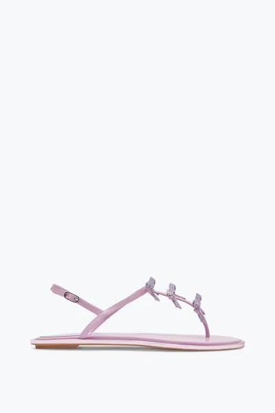 René Caovilla Diana Mauve Thong Sandal 10 In Purple