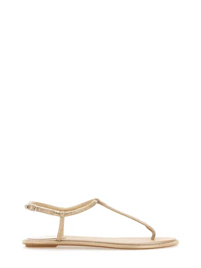 René Caovilla Diana Crystal Flat Sandal 10 In Gold