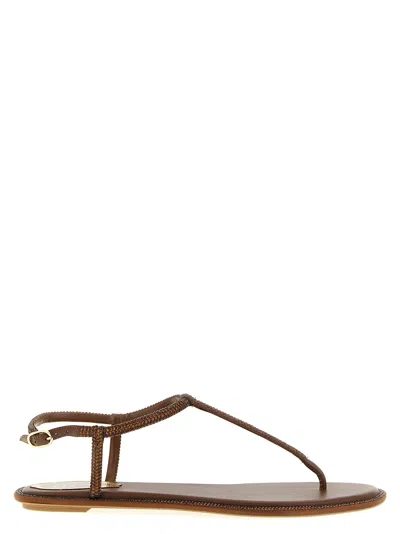 René Caovilla Diana Flat Sandals Open Toe T Bar In Brown