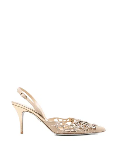 René Caovilla Eden Crystal-embellished Laser-cut Pumps In Brown