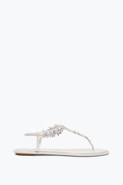 René Caovilla Eden Ivory Thong Sandal 10 In White