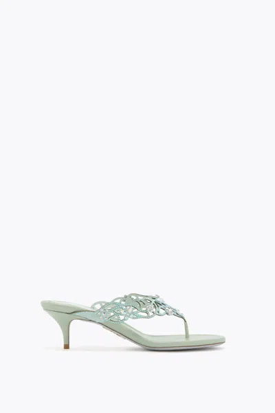 René Caovilla Eden Mint Green Thong Mule 50 In Multi