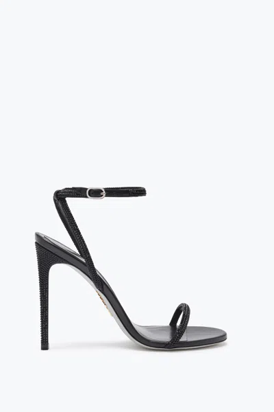 René Caovilla Ellabrita Crystal Black Sandal 105