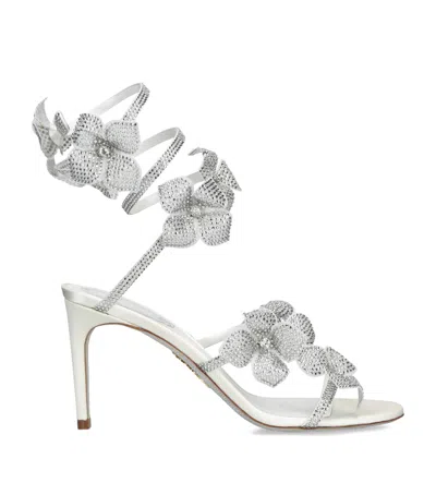 René Caovilla Embellished Floriane Sandals 80 In White