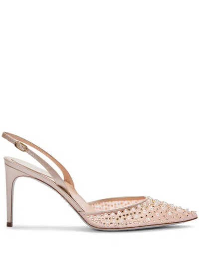 René Caovilla Embellished Pumps In Pink