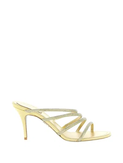 René Caovilla Flat Sandal Rene Caovilla Woman Color Gold In Neutral
