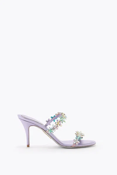 René Caovilla Eva Lilac Mule 80 In Purple