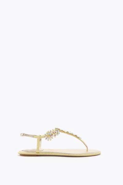 René Caovilla Eva Yellow Thong Sandal 10