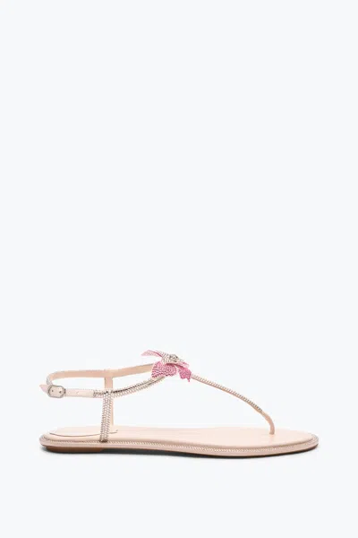 René Caovilla Fairy Pink Flat Sandal 10