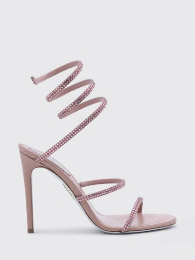 René Caovilla Flat Sandal Woman Rene Caovilla In Purple