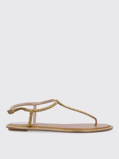 René Caovilla Flat Shoes Rene Caovilla Woman Color Beige
