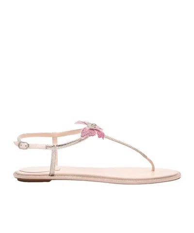 RENÉ CAOVILLA RENÉ CAOVILLA EMBELLISHED FAIRY FLAT SANDALS