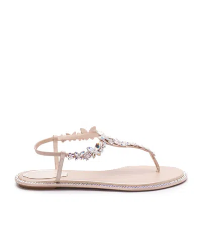 René Caovilla Flip-flops Sandals In Beige