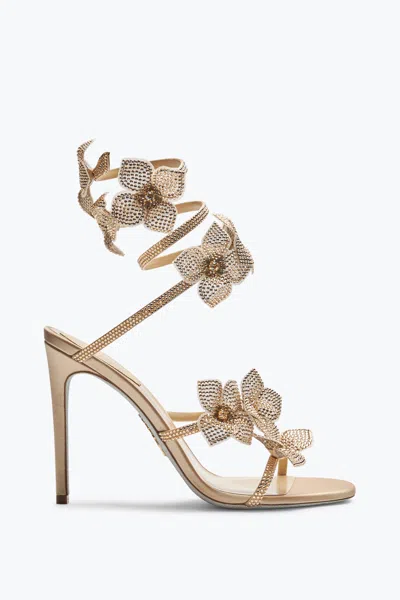 René Caovilla Floriane Honey Sandal 105