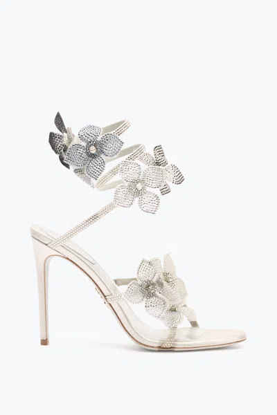 René Caovilla Floriane Ivory Sandal 105 In White