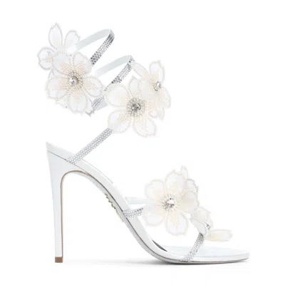 René Caovilla Flower Ivory Leather Sandals In Multi