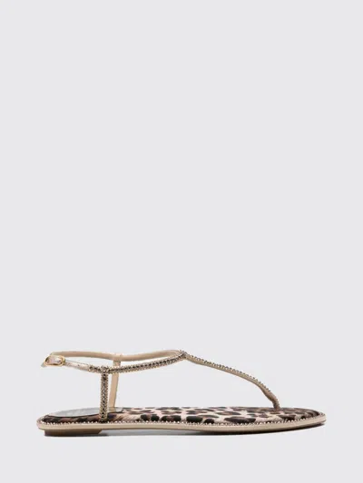 René Caovilla Rene Caovilla Heeled Sandal Woman Color Multicolor In Neutral