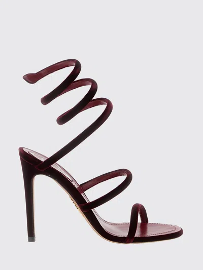 René Caovilla Rene Caovilla ヒールサンダル レディース カラー バーガンディー In Red