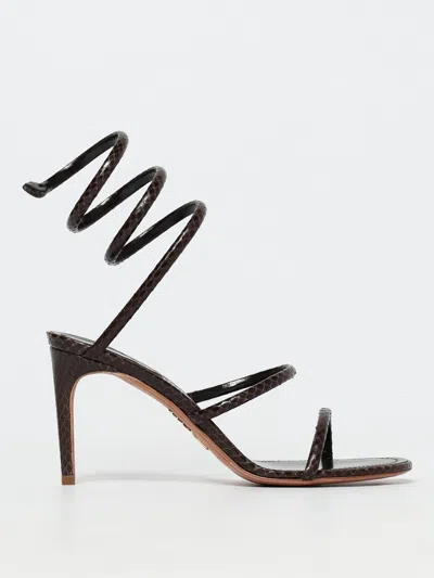 René Caovilla Flat Sandals Rene Caovilla Woman Color Brown