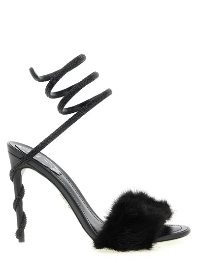 René Caovilla Rene Caovilla Heels In Multi