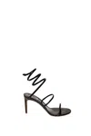 René Caovilla Heels In Brown