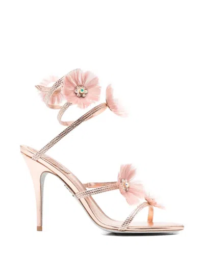 René Caovilla Jolenefloral-embellished Sandals In Pink