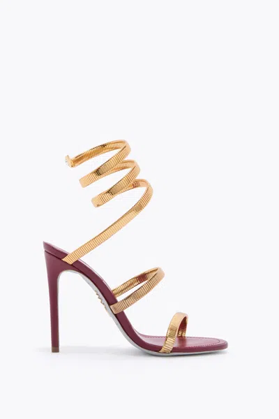 René Caovilla Juniper Burgundy And Gold Sandal 105