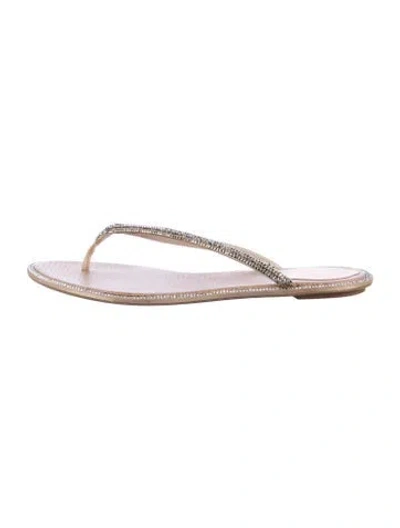 Pre-owned René Caovilla Leather Crystal Embellishments In Purple