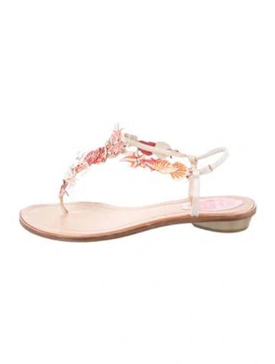 Pre-owned René Caovilla Leather Floral Print Sandals In Pink