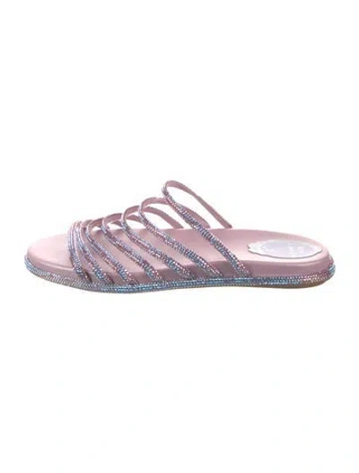 Pre-owned René Caovilla Leather Gladiator Sandals In Purple