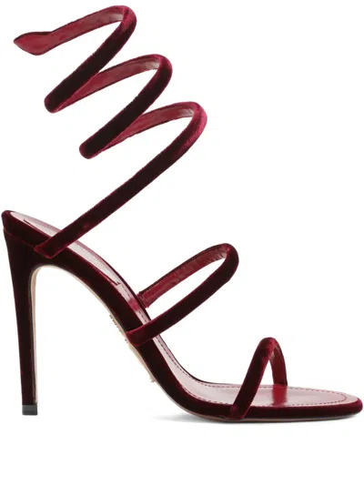 René Caovilla Velvet Snake Spiral Strap Sandals In Burgundy