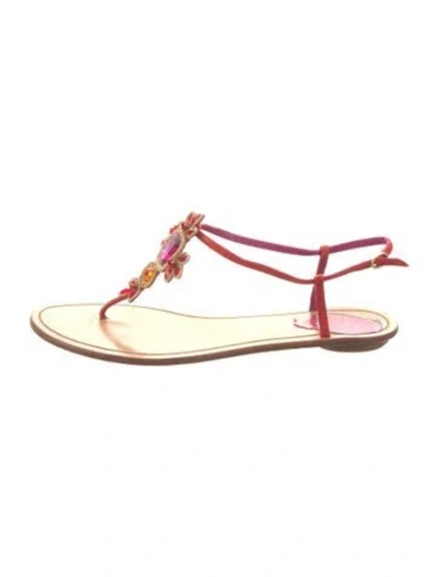 Pre-owned René Caovilla Leather T-strap Sandals In Orange