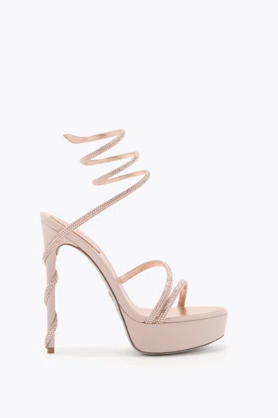 René Caovilla Margot Blush Pink Platform Sandal 130 In Neutral