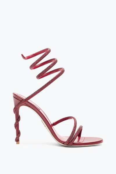 René Caovilla Margot Burgundy Sandal 105