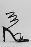 René Caovilla Margot  Sandals In Black