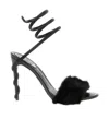 René Caovilla Rene Caovilla Heels In Black